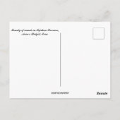 Camel Family Isfahan Province Aran o Bidgol Iran Briefkaart (Achterkant)