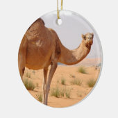 Camel for Arabs Ornament (Links)