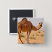 Camel for Arabs Square Pin Vierkante Button 5,1 Cm (Voorkant /achterkant)