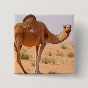 Camel for Arabs Square Pin Vierkante Button 5,1 Cm