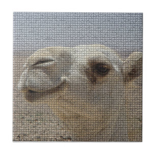Camel Head Tile Tegeltje