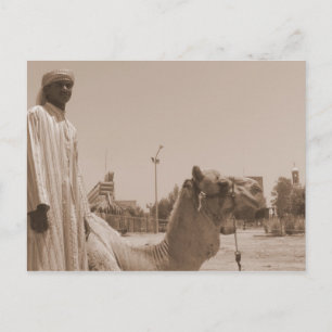 Camel herder briefkaart