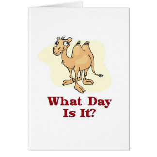 Camel - Hoe laat is het?