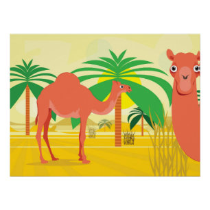 Camel illustratie perfect poster