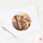 Camel in de woestijn van Oman Ronde Sticker (Envelop)