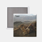 Camel in Egypt Magnet Magneet (Voorkant / Achterkant)