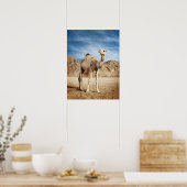 Camel in woestijn poster (Keuken)