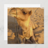 Camel in woestijnuitvindingen kaart (Voorkant / Achterkant)