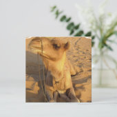 Camel in woestijnuitvindingen kaart (Staand voorkant)