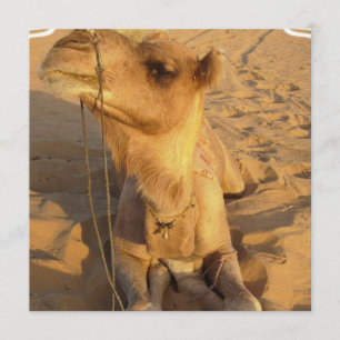 Camel in woestijnuitvindingen kaart