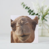 Camel Invitation Kaart (Staand voorkant)