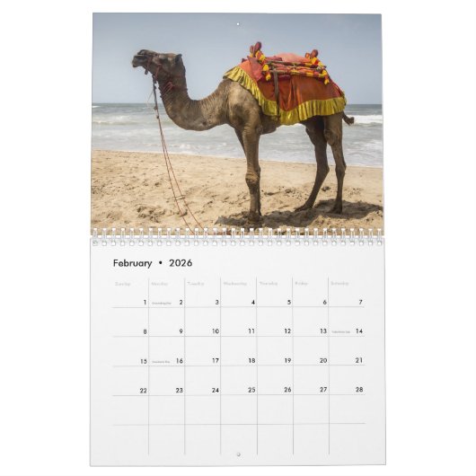 Camel Kalender (Feb 2026)
