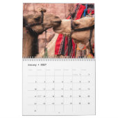 Camel Kalender 2025 (Jan 2027)