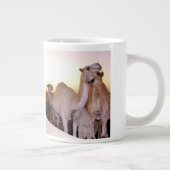 Camel love café tasse (Droite)