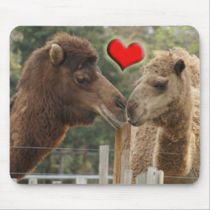 Camel LOVE - GEEN GRENZEN Muismat