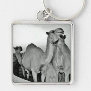 Camel Love Sleutelhanger