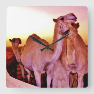 Camel Love Vierkante Klok