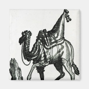 Camel Magneet