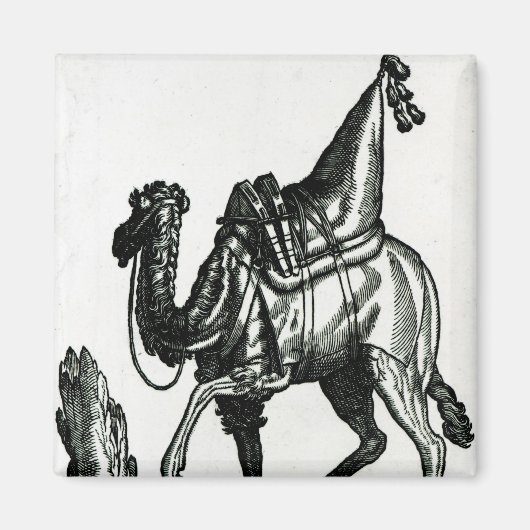 Camel Magneet (Voorkant)