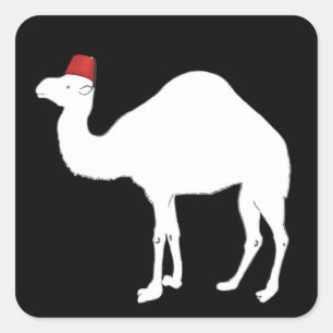 Camel met een fez vierkante sticker