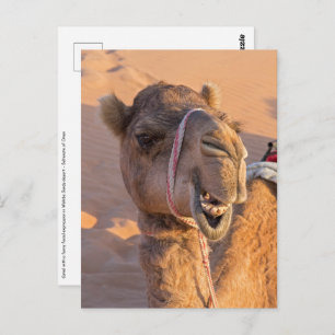 Camel met een grappige gezichtsuitdrukking - Oman Briefkaart