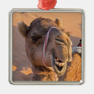 Camel met een grappige gezichtsuitdrukking - Oman Metalen Ornament