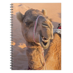 Camel met een grappige gezichtsuitdrukking - Oman Notitieboek