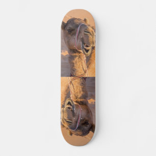 Camel met een grappige gezichtsuitdrukking - Oman Skateboard