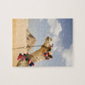 Camel met Pyramids Giza, Egypte Legpuzzel (Horizontaal)