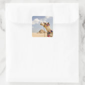 Camel met Pyramids Giza, Egypte Vierkante Sticker (Tas)