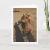 Camel op foto kaart (Voorkant)