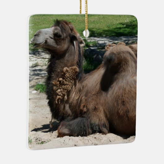 Camel Ornament (Rechts)