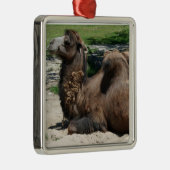 Camel Ornament (Rechts)