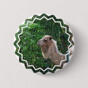 Camel Photo Design Button