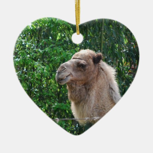 Camel Photo Design Ornament (Voorkant)