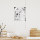 Camel Poster (Keuken)