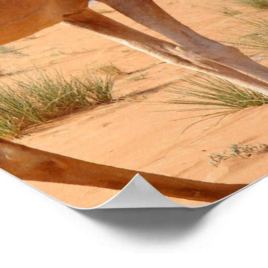 Camel pour Arabes Poster Print (Coin)