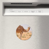 Camel pour Arabs Magnet (In Situ (Lave-vaisselle))