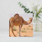 Camel pour les Arabes sur invitation (Debout devant)