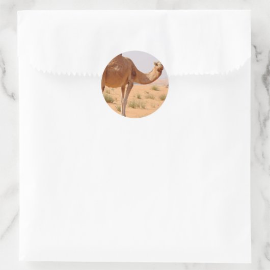 Camel pour Stickers Arabes (Sac)