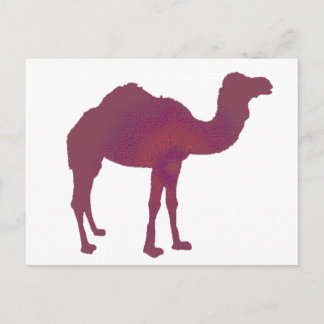 Camel Prestige Briefkaart