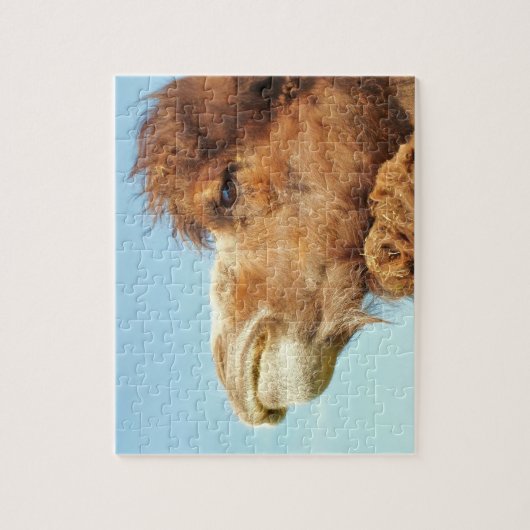 Camel - Puzzle Legpuzzel (Verticaal)