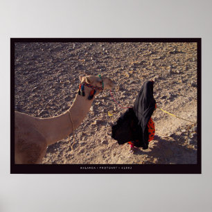 Camel-ride in Egypt Poster