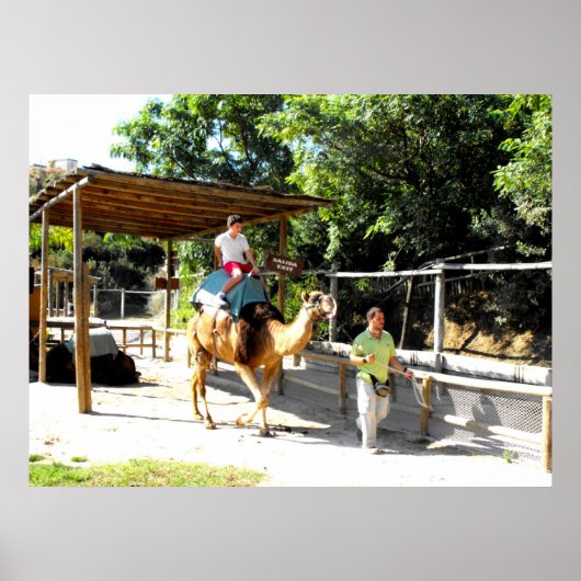 Camel ride poster (Voorkant)