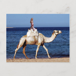 Camel Rider van het Zee Briefkaart