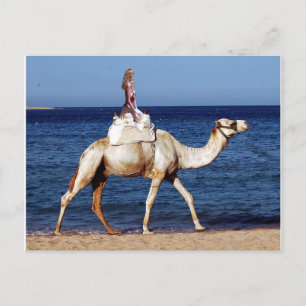 Camel Riding op het strand Briefkaart