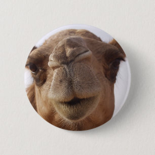 Camel Round Pin Ronde Button 5,7 Cm