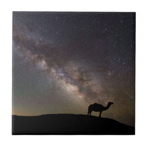 Camel Silhouette en Milkyway Tegeltje