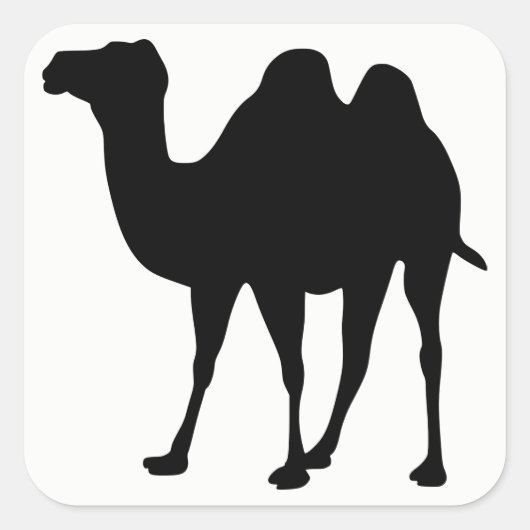 Camel Silhouette Vierkante Sticker (Voorkant)