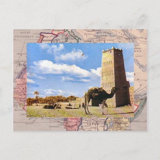 Camel stop in de woestijn briefkaart (Voorkant)